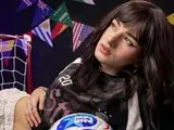 Recorded show AnyParcker